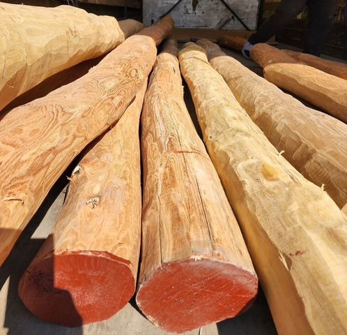 ������, ������� �������������, �������, �������������.