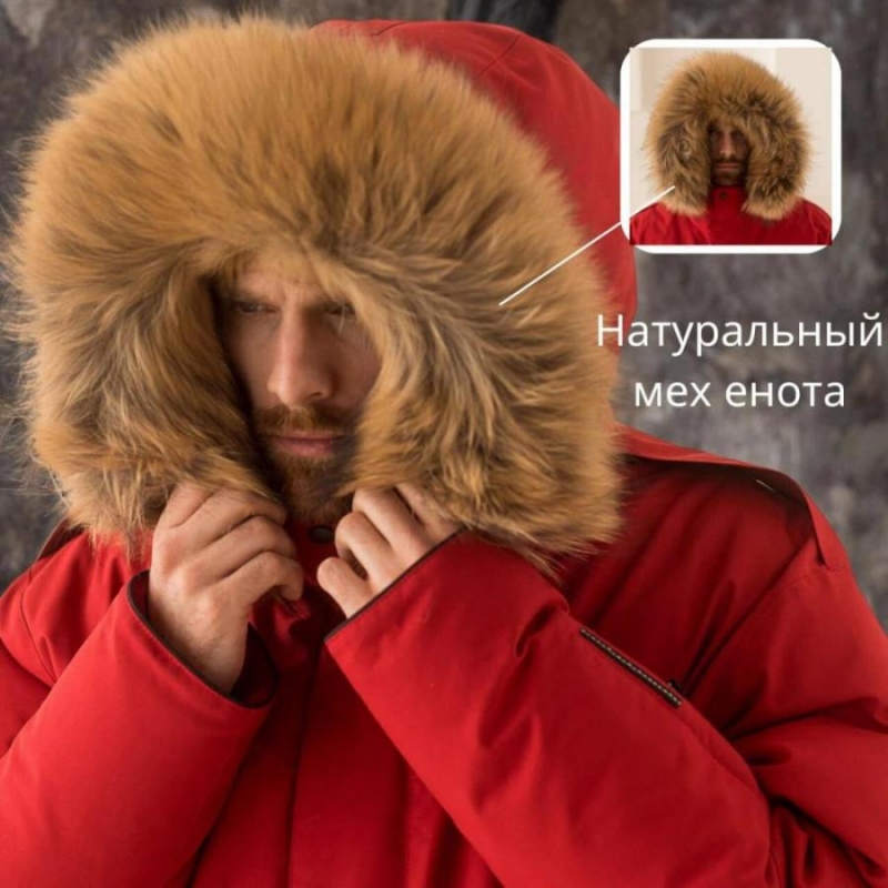 Mexoa oya  ao o poo LDY FOX