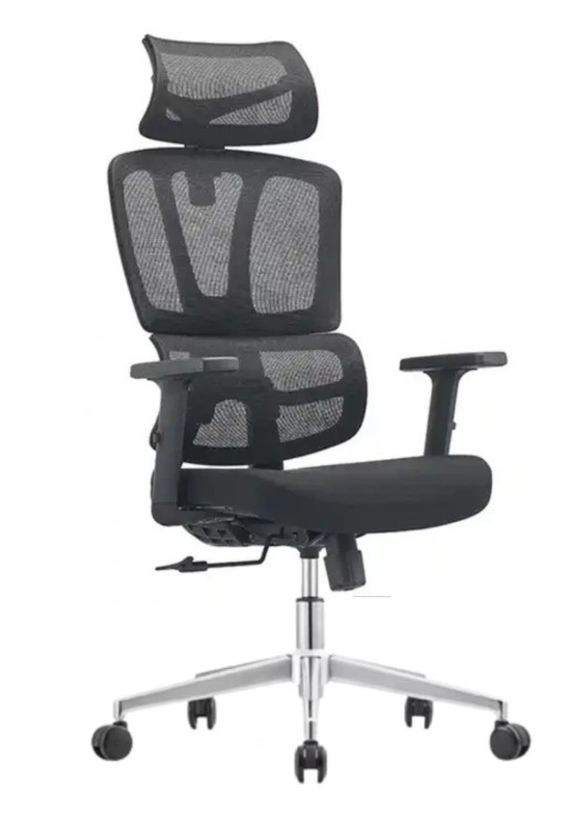 ������� ������ � ������ SitUp �� ��������� �������������� � �����